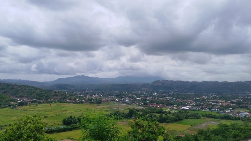Bima