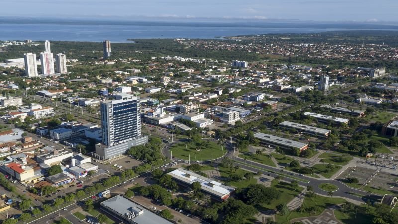 Palmas
