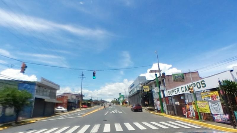 Pavas
